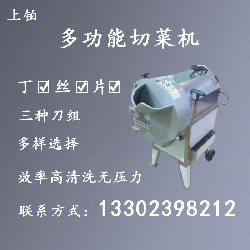 PT-1912切丁、切丝、切片机