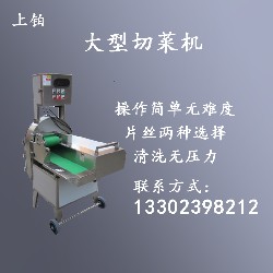 PT-1900B大型切菜机