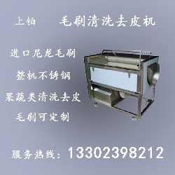 PT-1000毛刷清洗去皮机