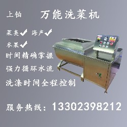 PT-106万能洗菜机