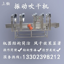 PT-307-3振动吹干机