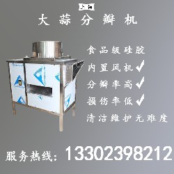 PT-1935大蒜分瓣机