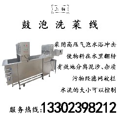 PT-308鼓泡洗菜线