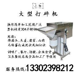 PT-1913大型打碎机