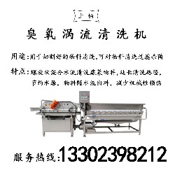 臭氧涡流清洗机PT-307B