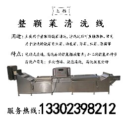 整颗菜清洗线PT-X013
