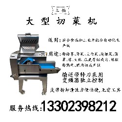 PT-1900D大型切菜机（新）