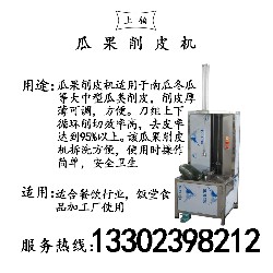PT-803瓜果削皮机